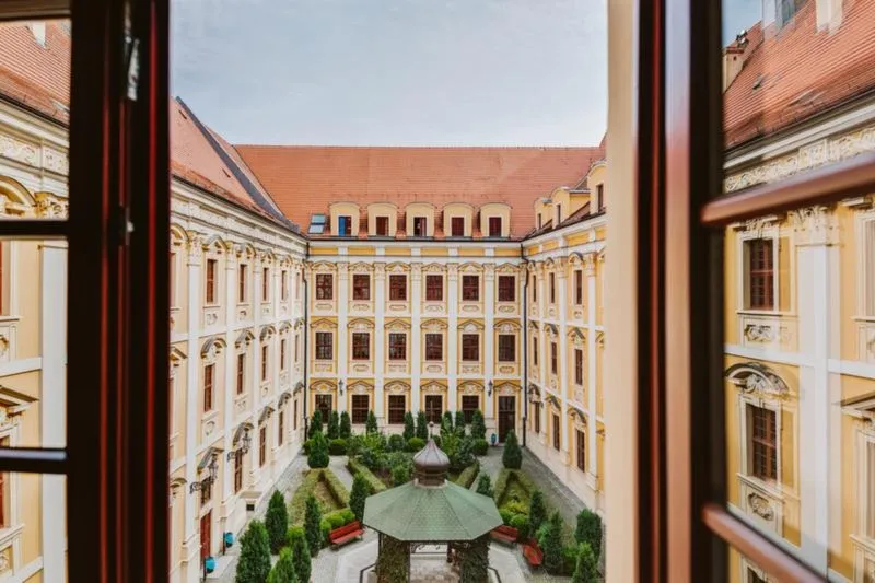 Jak poprawnie przetłumaczyć swoją specjalność na studiach po angielsku?