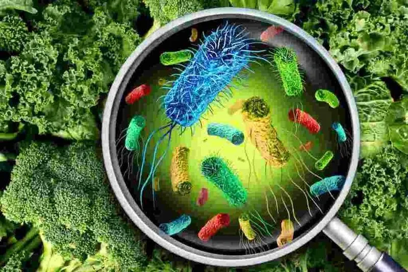 Mikrobiologia po studiach: kluczowe wskazówki, jak uniknąć błędów zawodowych