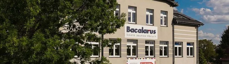 Odkryj świat kariery: Praca po studiach językowych pełna atrakcyjnych możliwości