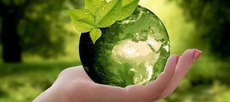 Kariera po ochronie środowiska