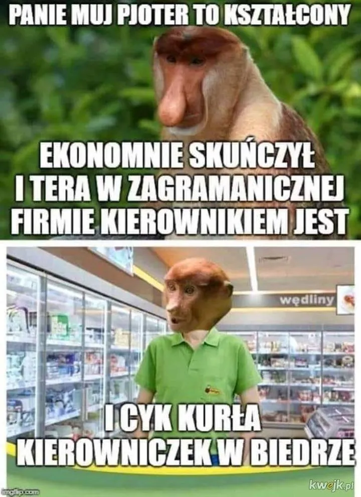 Kariera po studiach