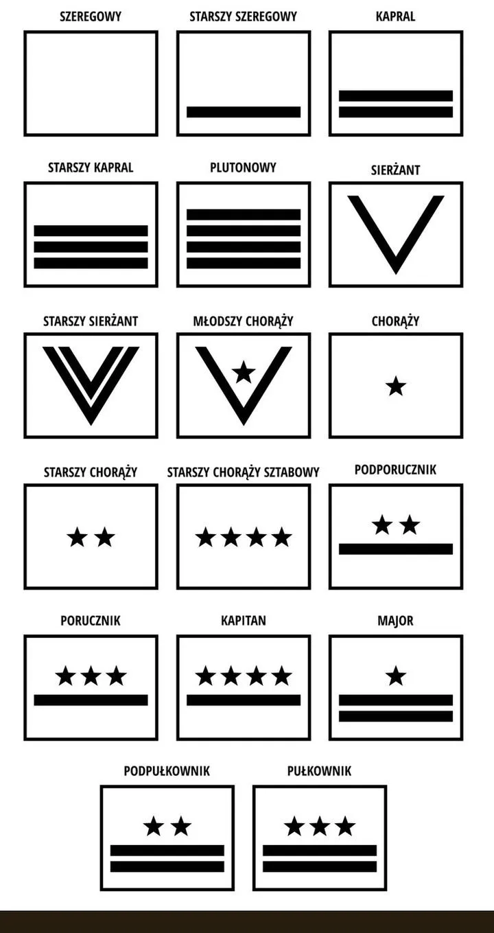 Kariera wojskowa po studiach