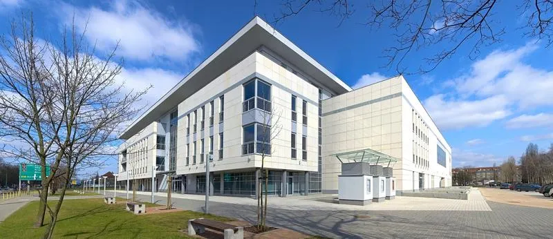 Kierunki i programy studiów UMP