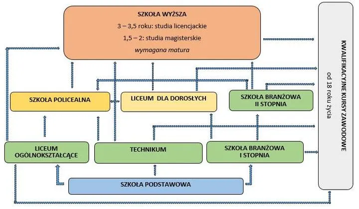 Kierunki studiów i oferta uczelni