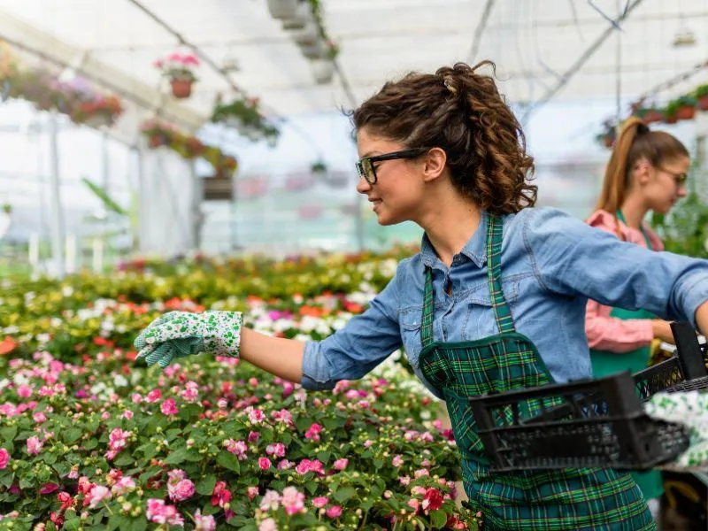 Praca w Holandii z zakwaterowaniem