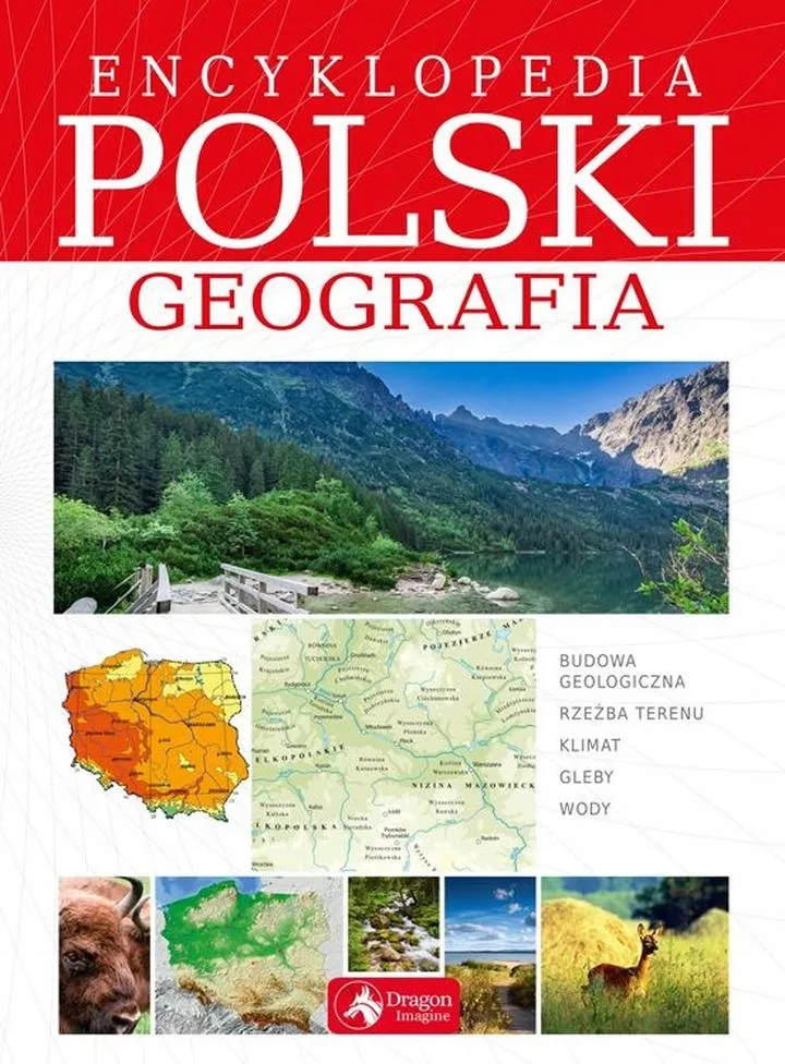 Praktyki i doświadczenie zawodowe w geografii
