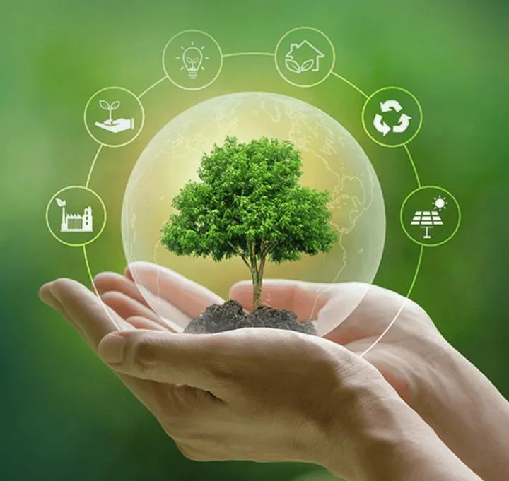 Prezentacja umiejętności absolwenta ochrony środowiska