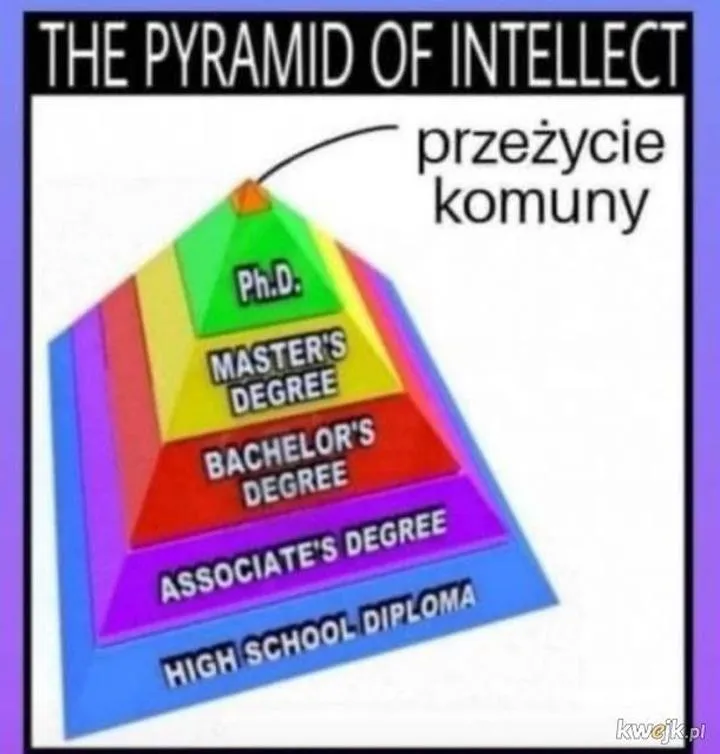 Stopnie naukowe a rynek pracy