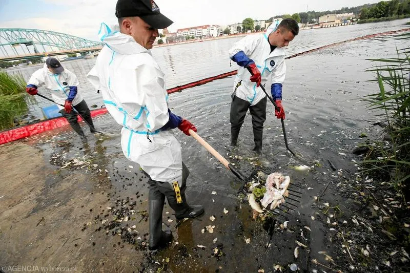 Wykształcenie a zarobki strażaków
